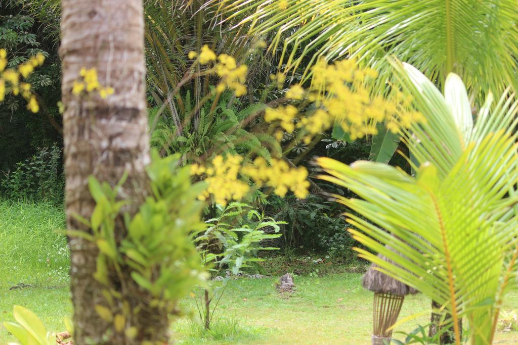 Pousada Quartinho De Praia Boipeba Island Kültér fotó